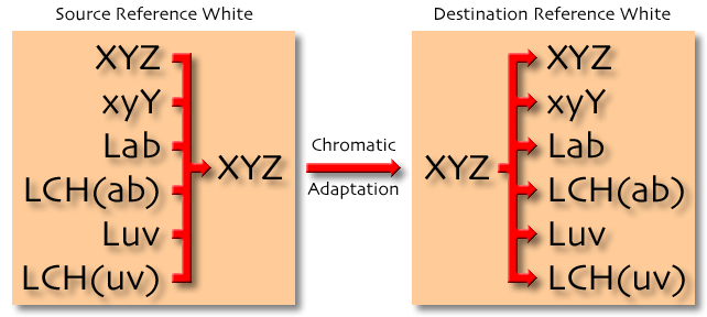 Chromatic Adaptation Diagram