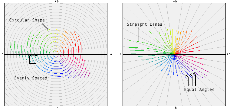 Ideal Rings and Radials